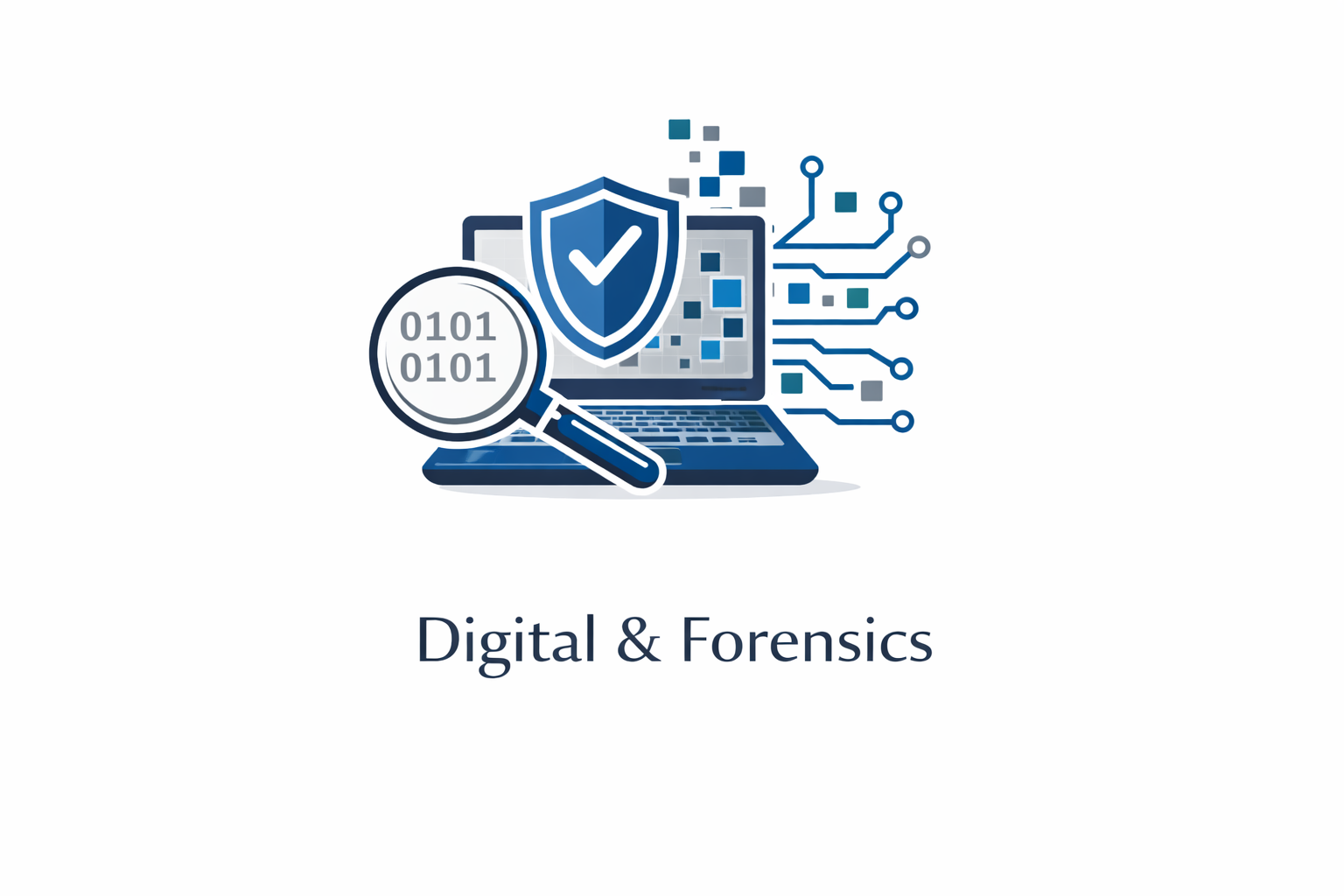 Digital & Forensics Digital & Forensics